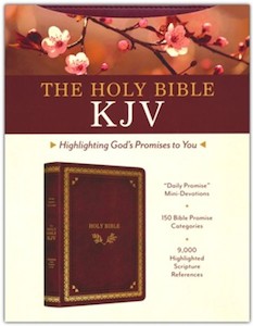 KJV Holy Bible: Highlighting Gods Promises to You crimson and gold imitation lea…