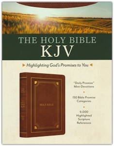 KJV Holy Bible: Highlighting Gods Promises to You gold and camel imitation leather