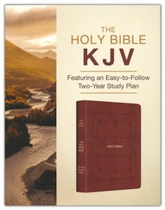 KJV Holy Bible: Featuring a Easy to Follow 2 Year Study Plan cinnamon and gold i…