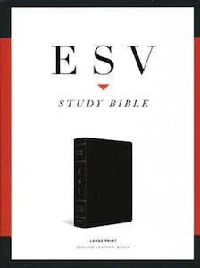 ESV Study Bible Large Print Bible black genuine leather INDEXED 10.5 point font