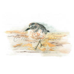 Creative art: Southern NZ Dotteral Print A4 / A3