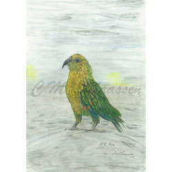 Creative art: Kea Print A4 / A3