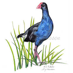 Pukeko Print A4 / A3