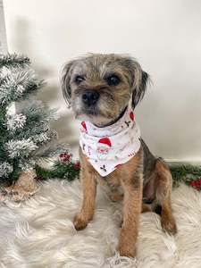 Luxe Jersey Cotton Jolly Santa Dog Bandana