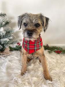 Luxe Bamboo Red Tartan Dog Bandana