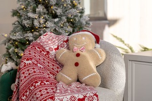 Mr Gingerbread Christmas Cushion