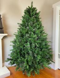 Homewares: Douglas Fir Christmas Tree (Instant Shape) - Pre-Order