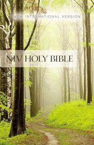 Stationery: NIV Value Outreach Bible Forest Path Paperback