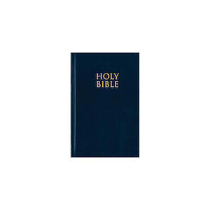 NIV  Bible 2011 Pew Navy H/B