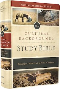 NIV  Bible Study Cultural Backgrounds (H/B)