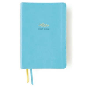 NIV Bible Women' s Devotional L/P Teal Im/Lth