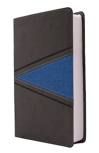 Stationery: NIV  Boys Bible Gray/Blue Im/Lth