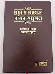 ESV Hindi Bible  English/Hindi (Lthlook) Black / Burgundy