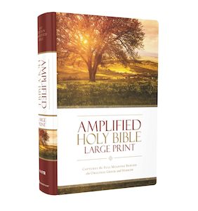 Stationery: Amplified Bible (H/B)