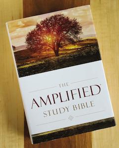 Amplified Study Bible L/P (H/B)