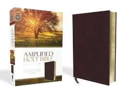 Stationery: Amplified Bible Bonded Leather Burgundy