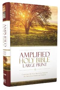 Stationery: Amplified Bible L/P (H/B)