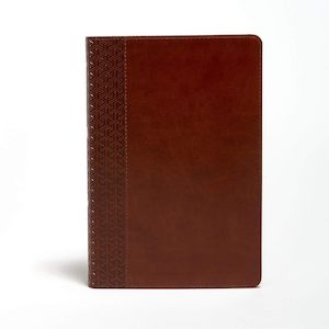 KJV Everyday Study Bible - British Tan Leather touch