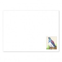 Adult, community, and other education: Wood Pigeon Envelopes (White)