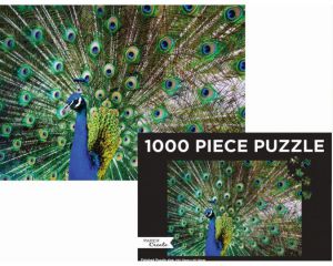 Adult, community, and other education: Jigsaw 1000 pc Puzzle - Peacock