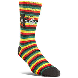 Sporting equipment: ETNIES GRIZZLY CREW SOCK [MULTI]