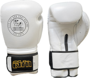 12oz Boxing Gloves City Lee Gar