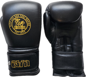 16oz Boxing Gloves City Lee Gar