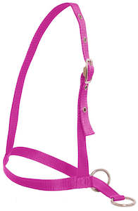 Flair leading Calf Halter