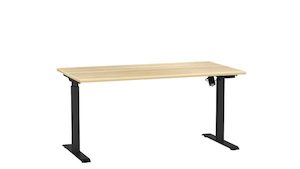 Furniture: Fiesta Standard Electric Desk