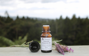 Lavender Essential Oil - 10ml