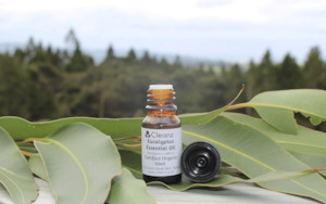 Eucalyptus Essential Oil - 10ml