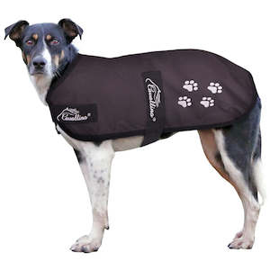 Cavallino Paw Print Dog Coat