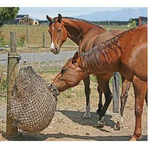 Specialised food: Hay Savers