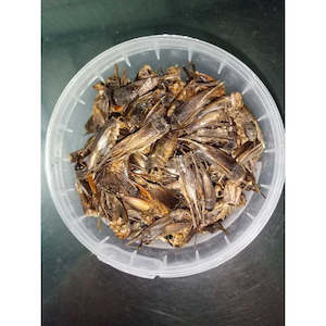 Specialised food: Dried Crickets - 100gms