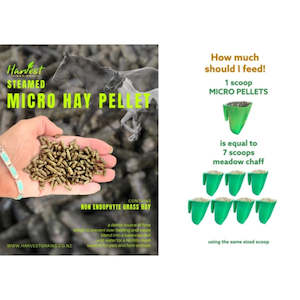 Hay Mates Micro Low Endophyte Pellet