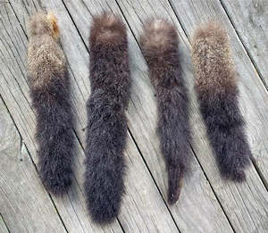 Possum Tail Pet Toy