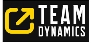 Team Dynamics: create a happy, healthy, thriving team culture