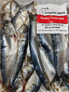 Seafood wholesaling - fresh or frozen: Salted Pilchards