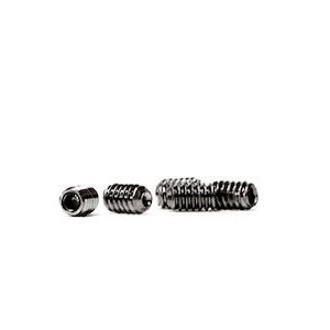 FCS Stainless Steel Screws Each