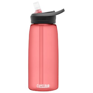 CamelBak Eddy+ 32Oz with Tritan™ Renew