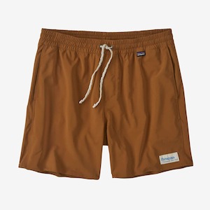 Patagonia Men’s Hydropeak Volley Shorts Tree Ring Brown