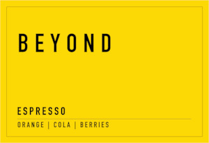 Prepaid Subscription - Beyond Blend