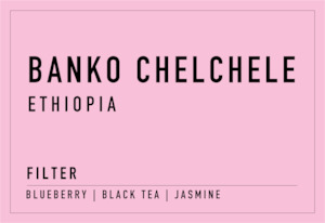 Coffee: Banko Chelchele