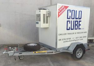 Small Cold Cube