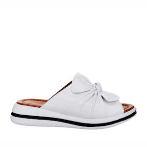 Slides: Le sansa Salsa White