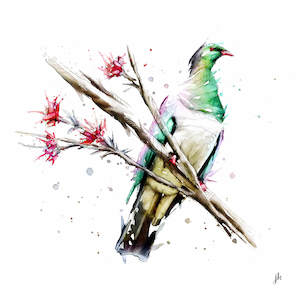 Kererū - by Jeremy Kyle