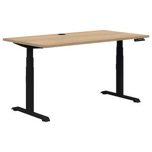 Summit ii Dual Motor Electric Desk