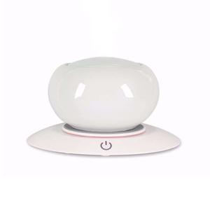 Grocery supermarket: Absolute Essential Aroma Diffuser (Each)