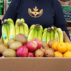 Fruit Box (Each)