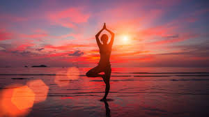 Health and Wellbeing: Gentle Beginners' Yoga with Angela Duncan starts 6 November 2024